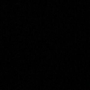 Meet your Posher, Josie